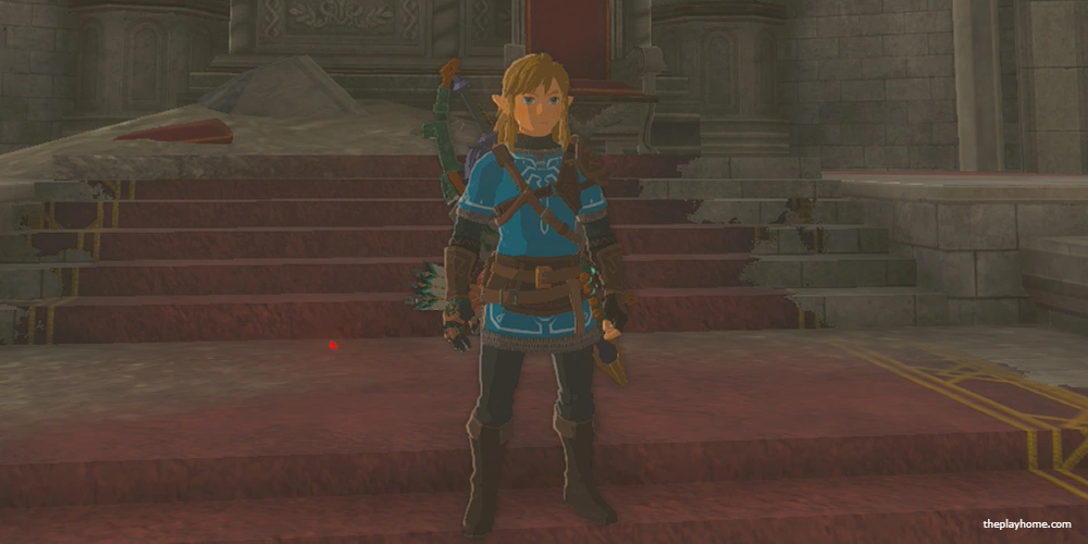 Champion's Leathers Zelda Tears of the Kingdom 